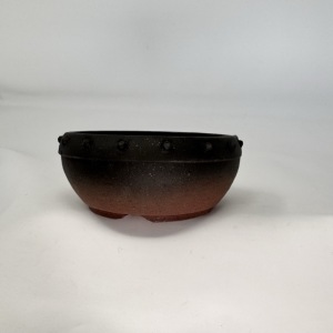 Terra1
