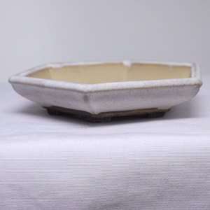 Shohin33