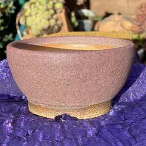 Shohin108