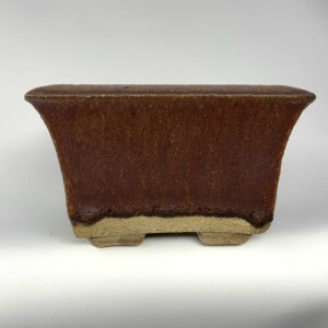 Shohin6