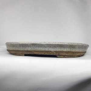 Oval31