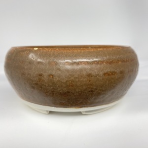 Shohin16 from Tony Remington