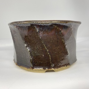 Shohin13 from Tony Remington