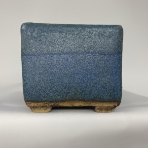 Shohin15