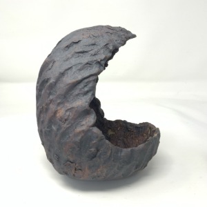Crescent1