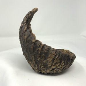 Crescent8 from Tony Remington