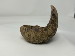 Crescent9 from Tony Remington